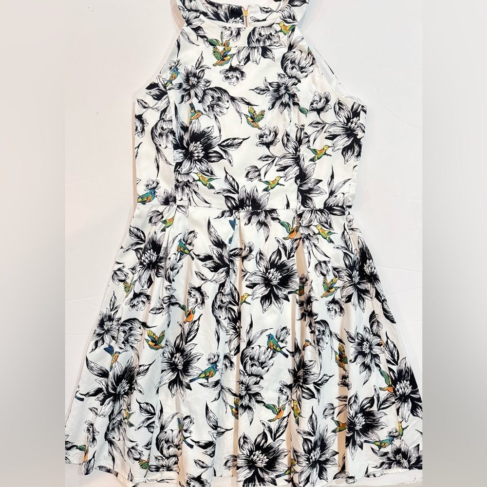 Black White Floral Hummingbird Dress High Neck Fit Flare Sleeveless 16 - Picture 2 of 10